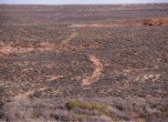 Trail near Dance Hall Rock, Lamont Crabtree Photo